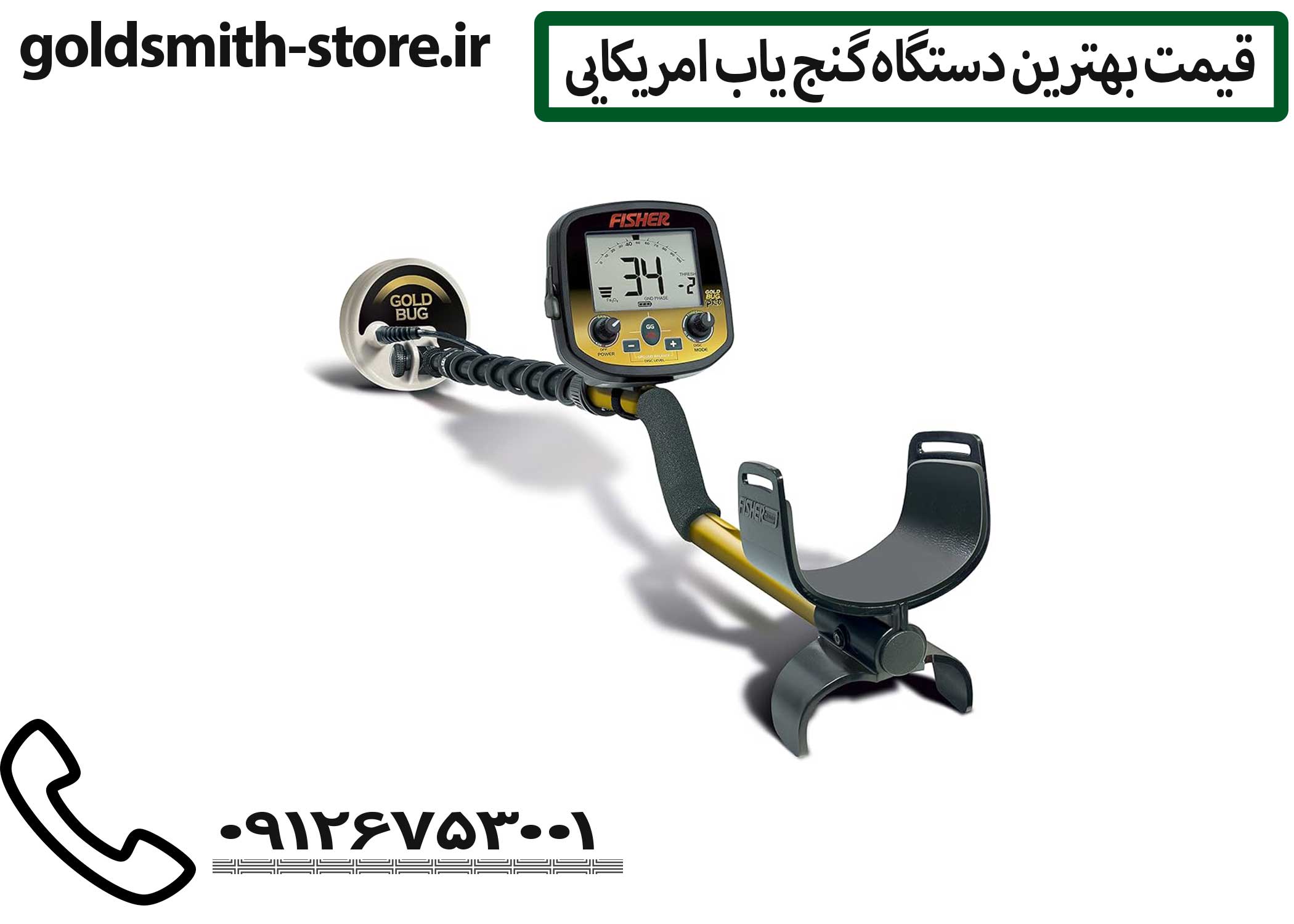 گنج یاب حرفه‌ای