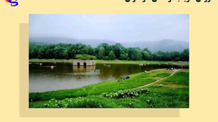فروش فلزیاب دراستان مازندران