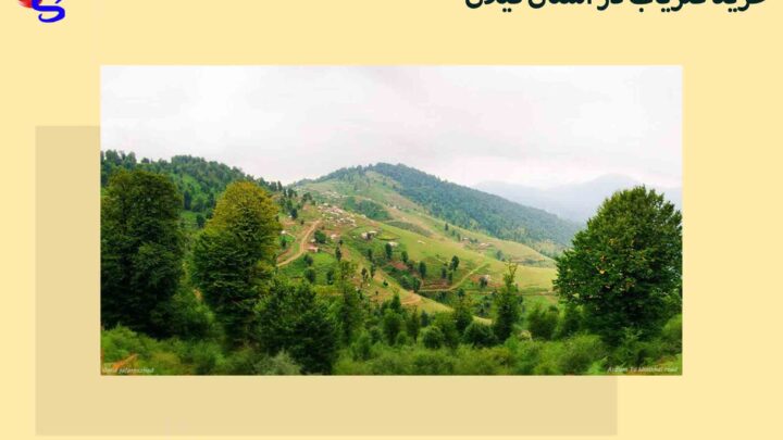 خرید فلزیاب در استان گیلان