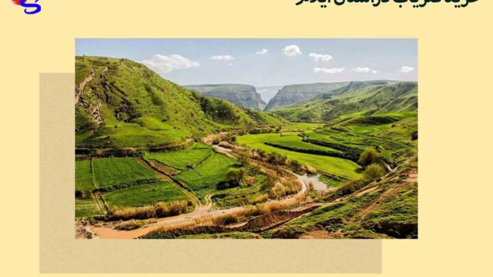 خرید فلزیاب دراستان ایلام