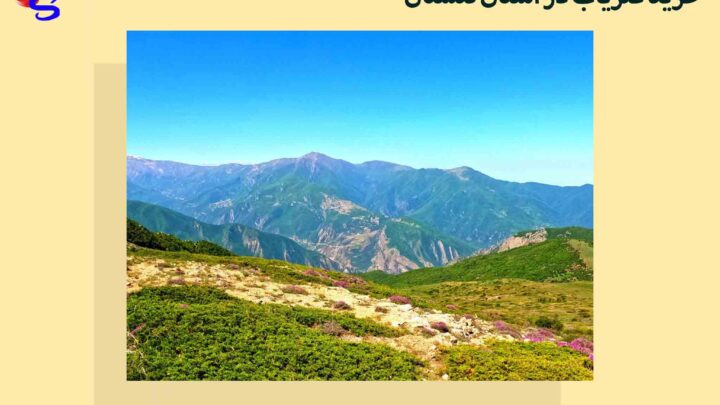 خرید فلزیاب در استان گلستان