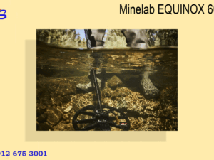 Minelab EQUINOX 600