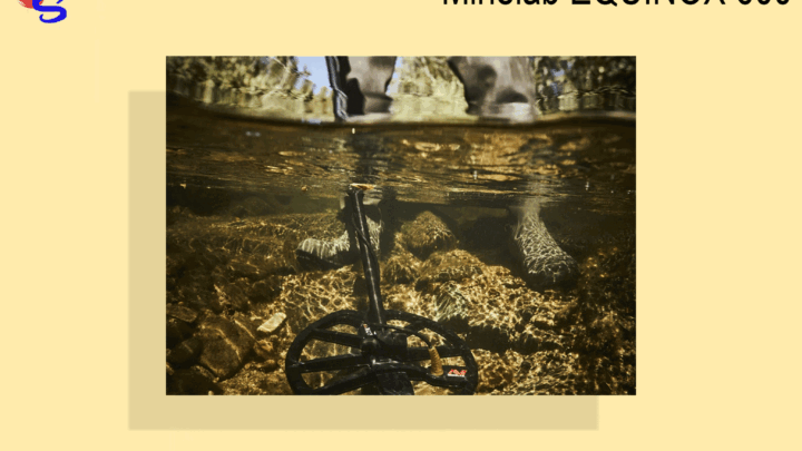 Minelab EQUINOX 600